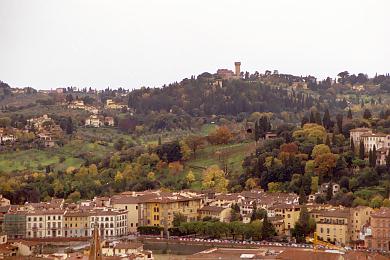 Florence View